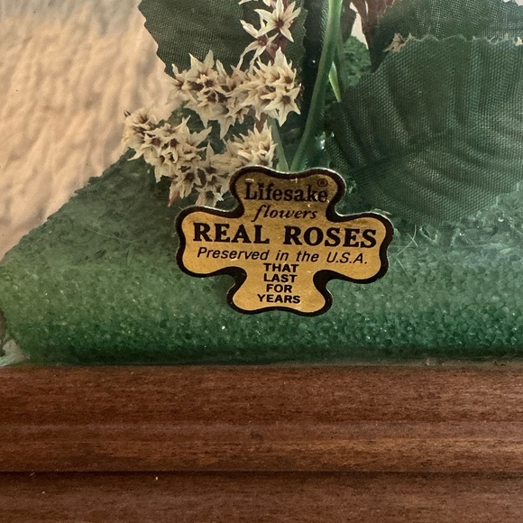 Red Rose Music Box in Glass Terrarium - Picture 2 of 5